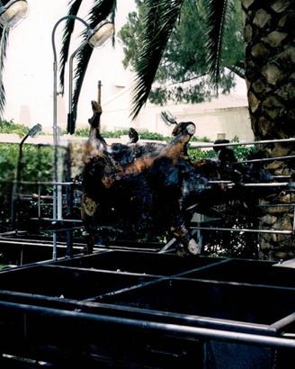 Barbecue con griglia regolabile 