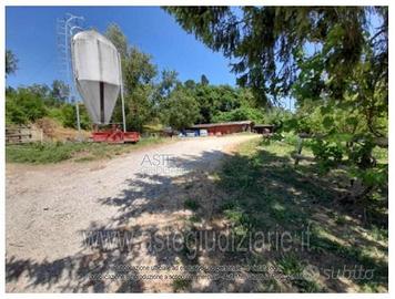 Villa o villino Castelnuovo Berardenga [A4356958]