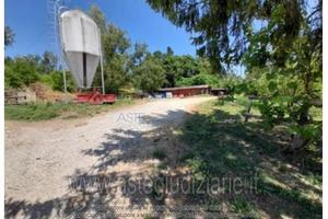 Villa o villino Castelnuovo Berardenga [A4356958]