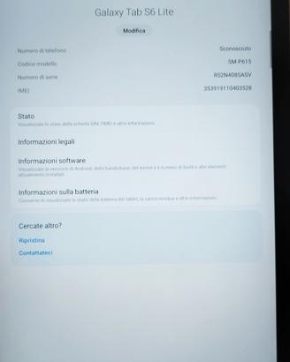 Galaxy Tab S6 lite