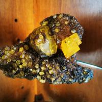 Zolfo Bituminoso Cozzodisi 