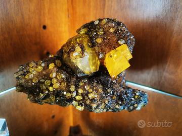 Zolfo Bituminoso Cozzodisi 