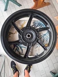 cerchio posteriore sh 300