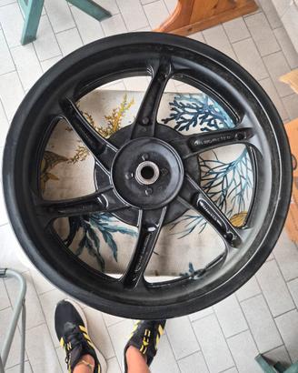 cerchio posteriore sh 300