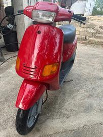 zip piaggio