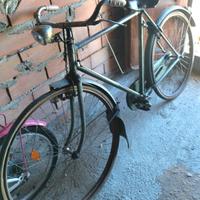 Bicicletta uomo Wander 