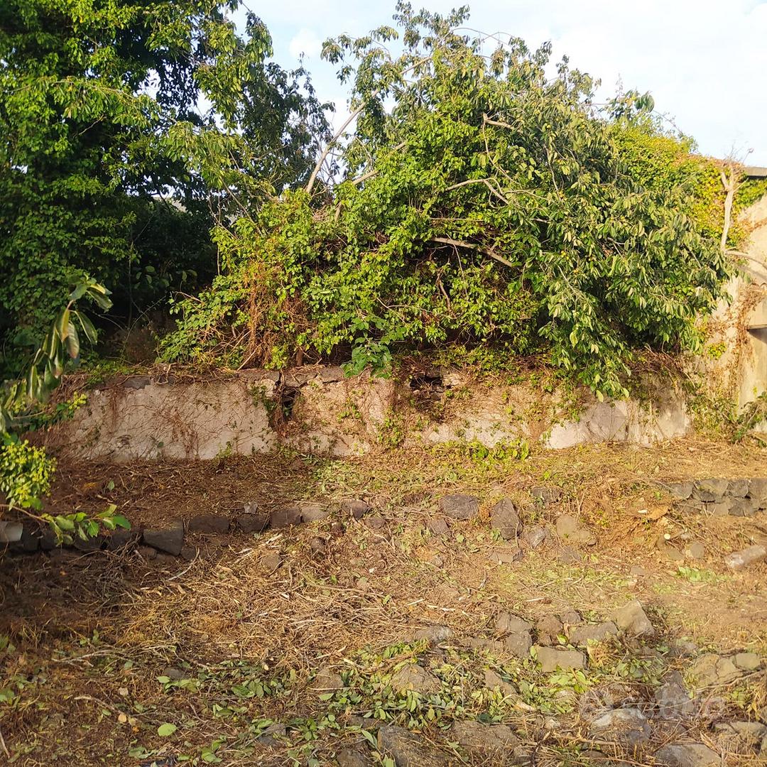 Edificabile con Rudere - Vista 4