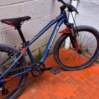 Bici  MTB taglia 24