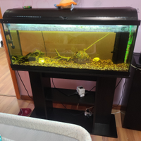 Vendo acquario 180L