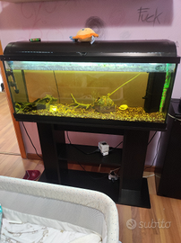 Vendo acquario 180L