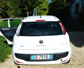 Fiat punto Evo 1.3 multijet