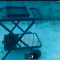 CARRELLO BARBECU ELETTRICO 