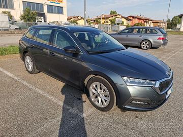 Skoda Octavia IV Wagon 2.0 tdi evo Style 150cv
