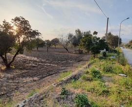 Terreno con ampio fronte strada e pozzo