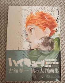 Haikyuu Complete Illustration Book 