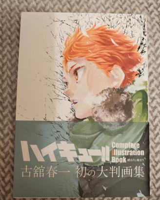 Haikyuu Complete Illustration Book 