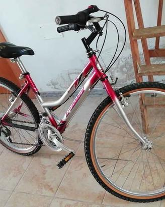 bicicletta