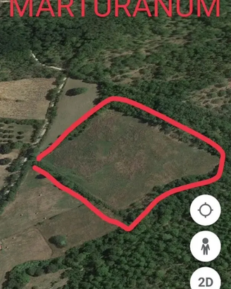 Terreno 2,8 ettari a Civitella Cesi frazione Blera