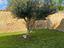 Immagine 5