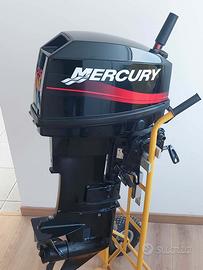 motore marino MERCURY 25 HP 2T
