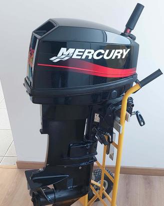 motore marino MERCURY 25 HP 2T