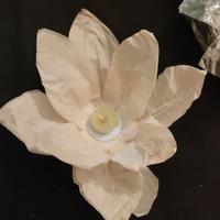 Lanterne galleggianti