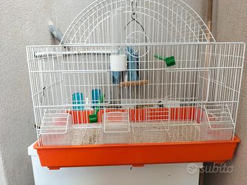 gabbia per uccelli 