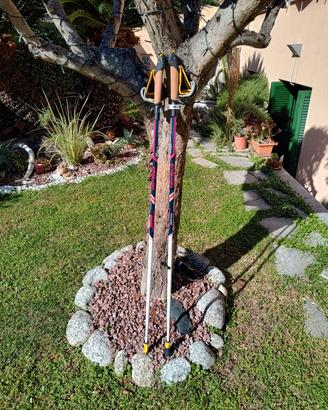 Vipole Athena Nordic Power