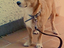 Immagine 5