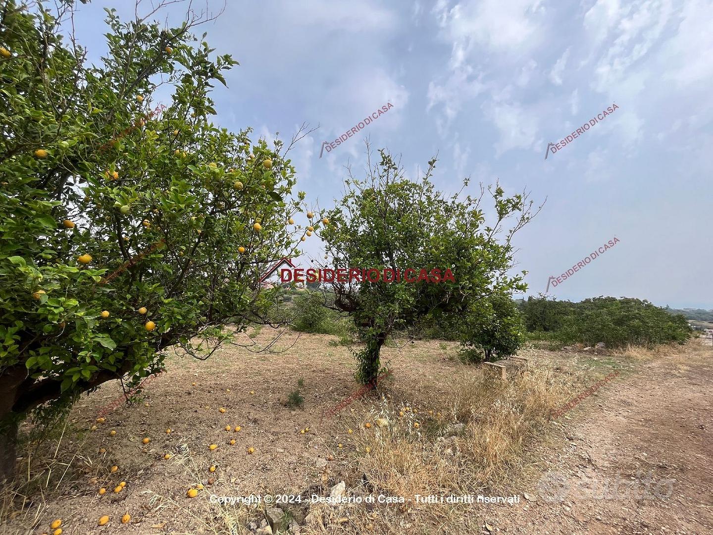 Terreno, Casteldaccia. - Vista 5