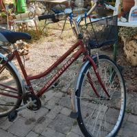 Bici Jumpertrek  donna ruota 28