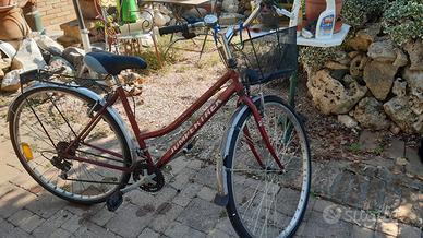 Bici Jumpertrek  donna ruota 28