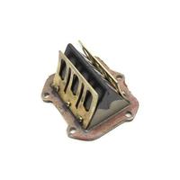 PACCO LAMELLARE ROTAX 122 APRILIA SX125 2T 2008 20