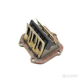 PACCO LAMELLARE ROTAX 122 APRILIA SX125 2T 2008 20