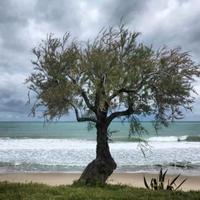 VILLA a CEFALU Sicilia VICINO SPIAGGIA