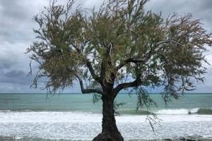 VILLA a CEFALU Sicilia VICINO SPIAGGIA