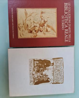 Le Collezioni D'Arte della Biblioteca di Torino