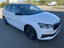 skoda-fabia-1-0-tsi-evo-dsg-115-cv-selection-nuova