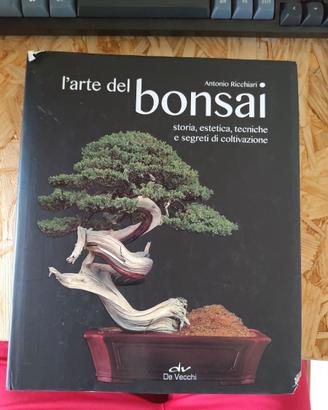L'arte del bonsai - Antonio Ricchiari
