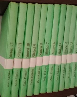 Enciclopedia Sintesi, dello studente, Opere