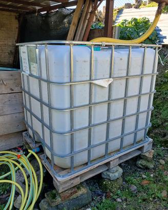 Tanica (Tank) da 1000 litri per la raccolta acqua 