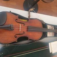 violino