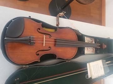 violino