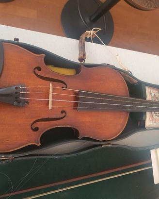 violino