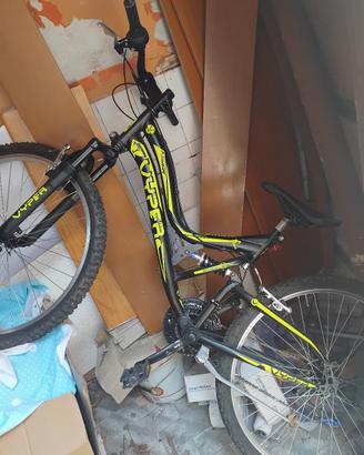 bicicletta 