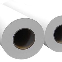 Rotoli carta plotter vari