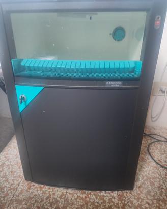minifrigo