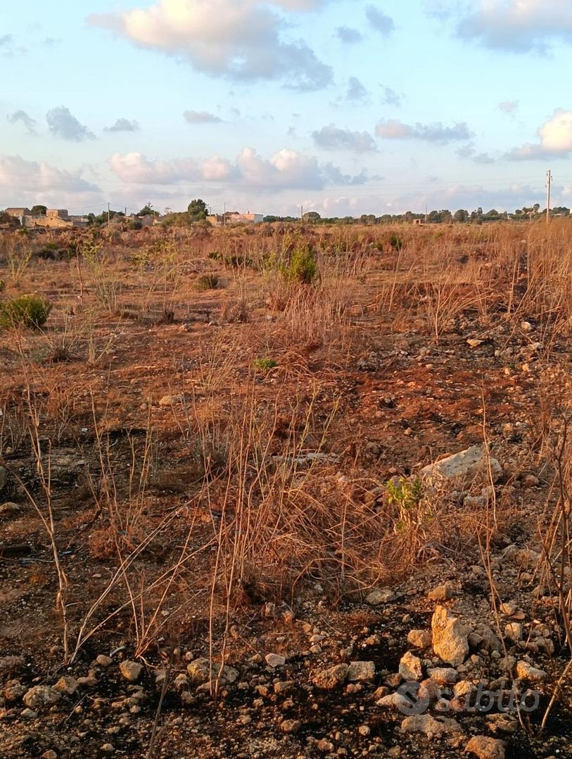 7000mq di terreno - Vista 5