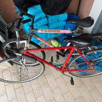 Bicicletta