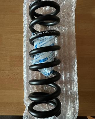 Molla rockshox